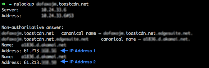 nslookup-IP확인