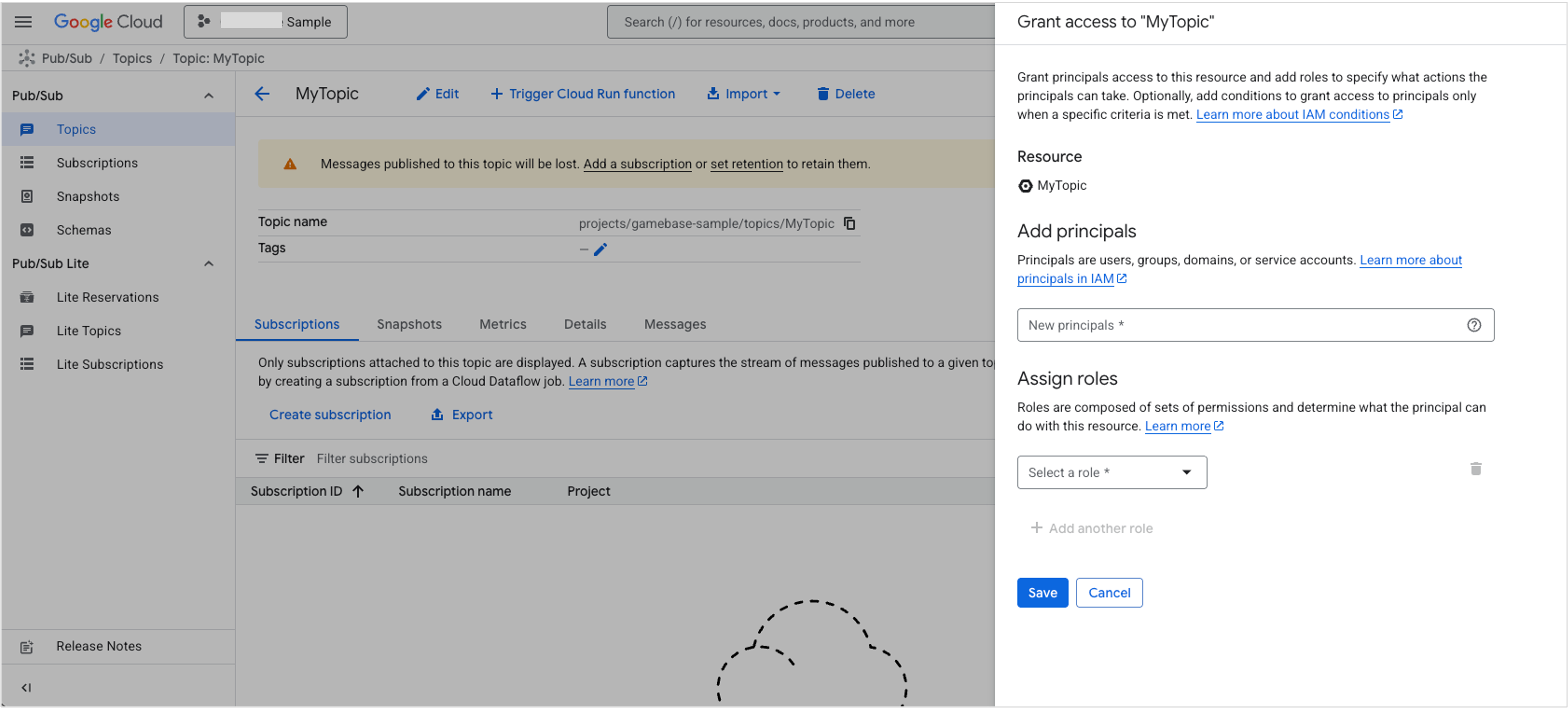 Link a Google Cloud Project