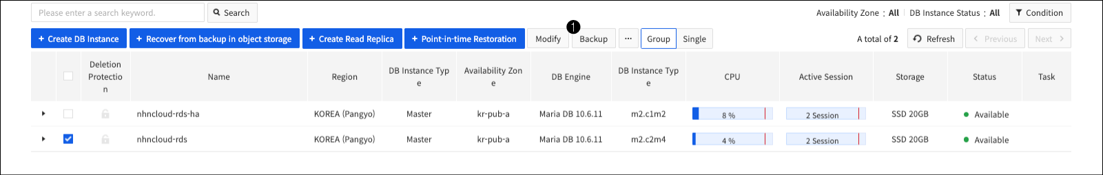 db-instance-backup-en