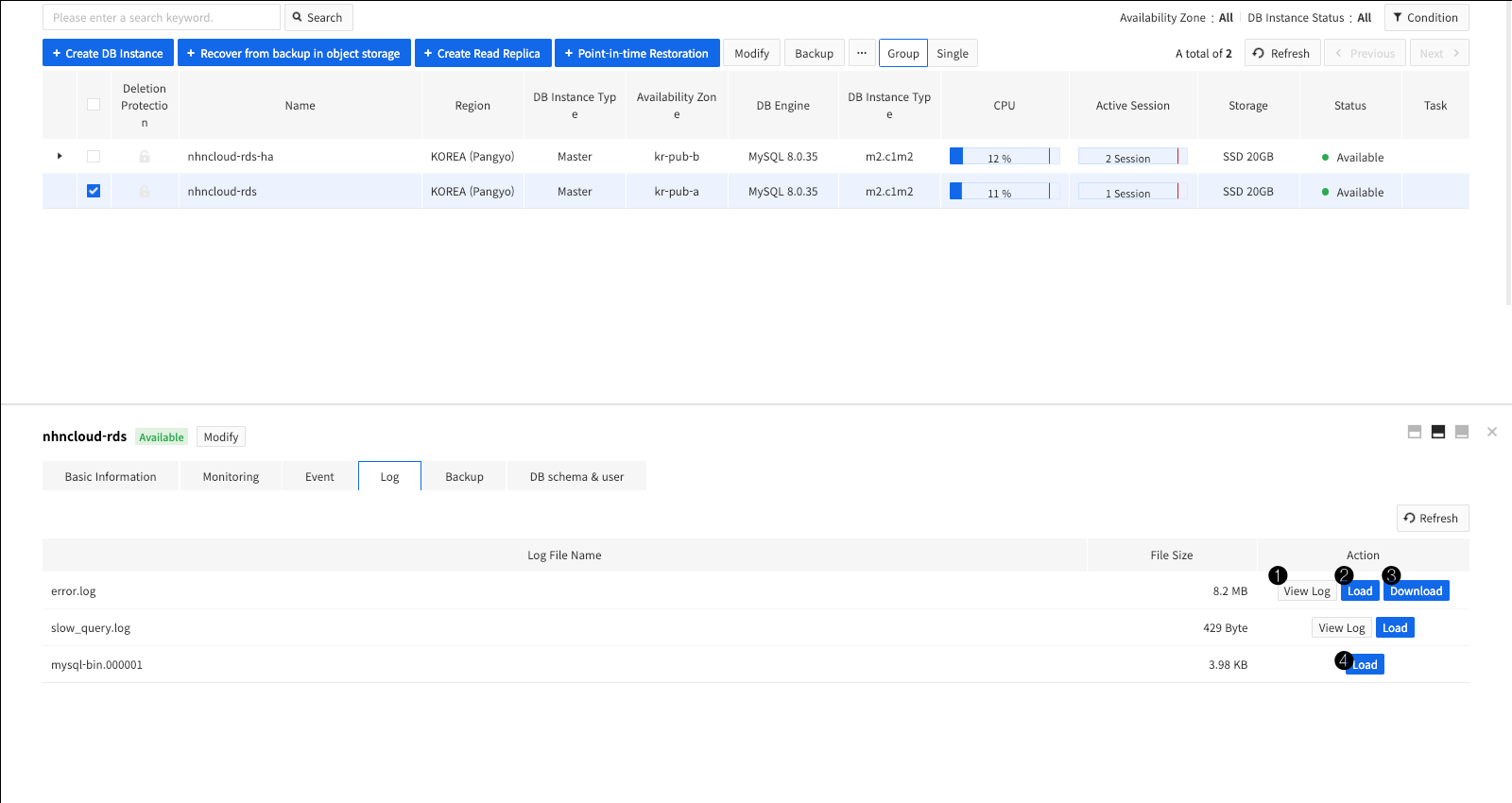 db-instance-detail-log_en