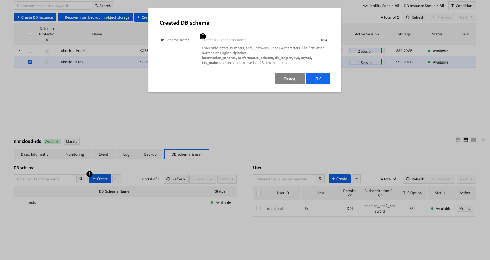 db-instance-detail-schema_en