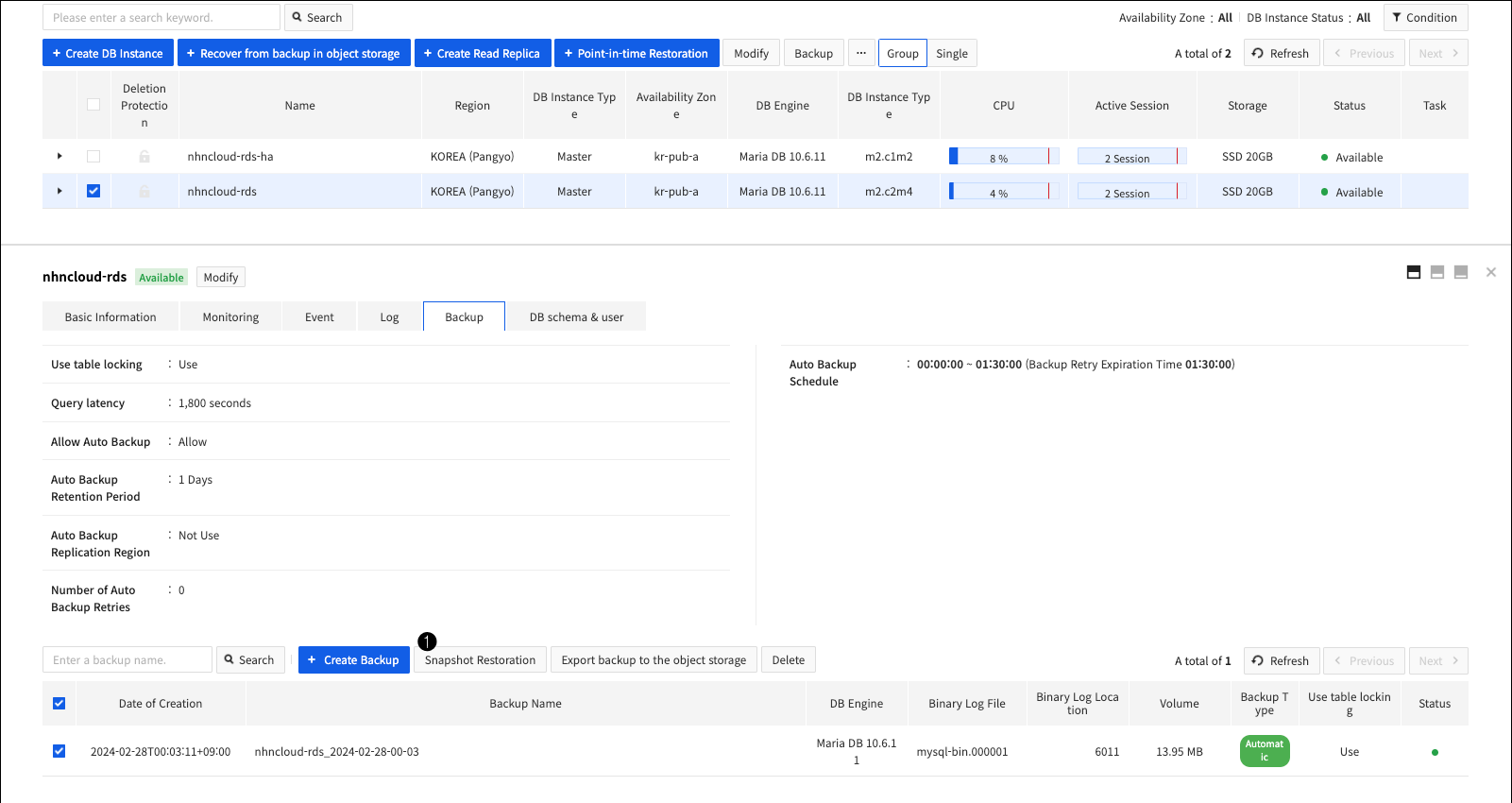 db-instance-snapshot-restoration-en