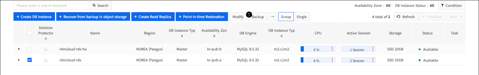 db-instance-backup-en