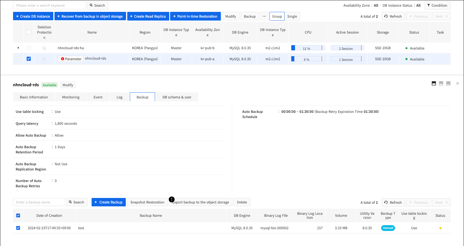 db-instance-detail-backup-export-en