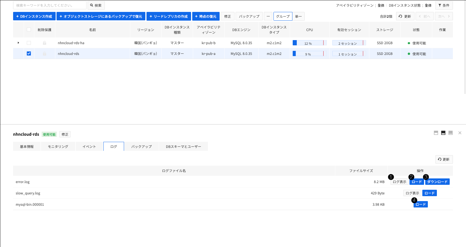 db-instance-detail-log_ja