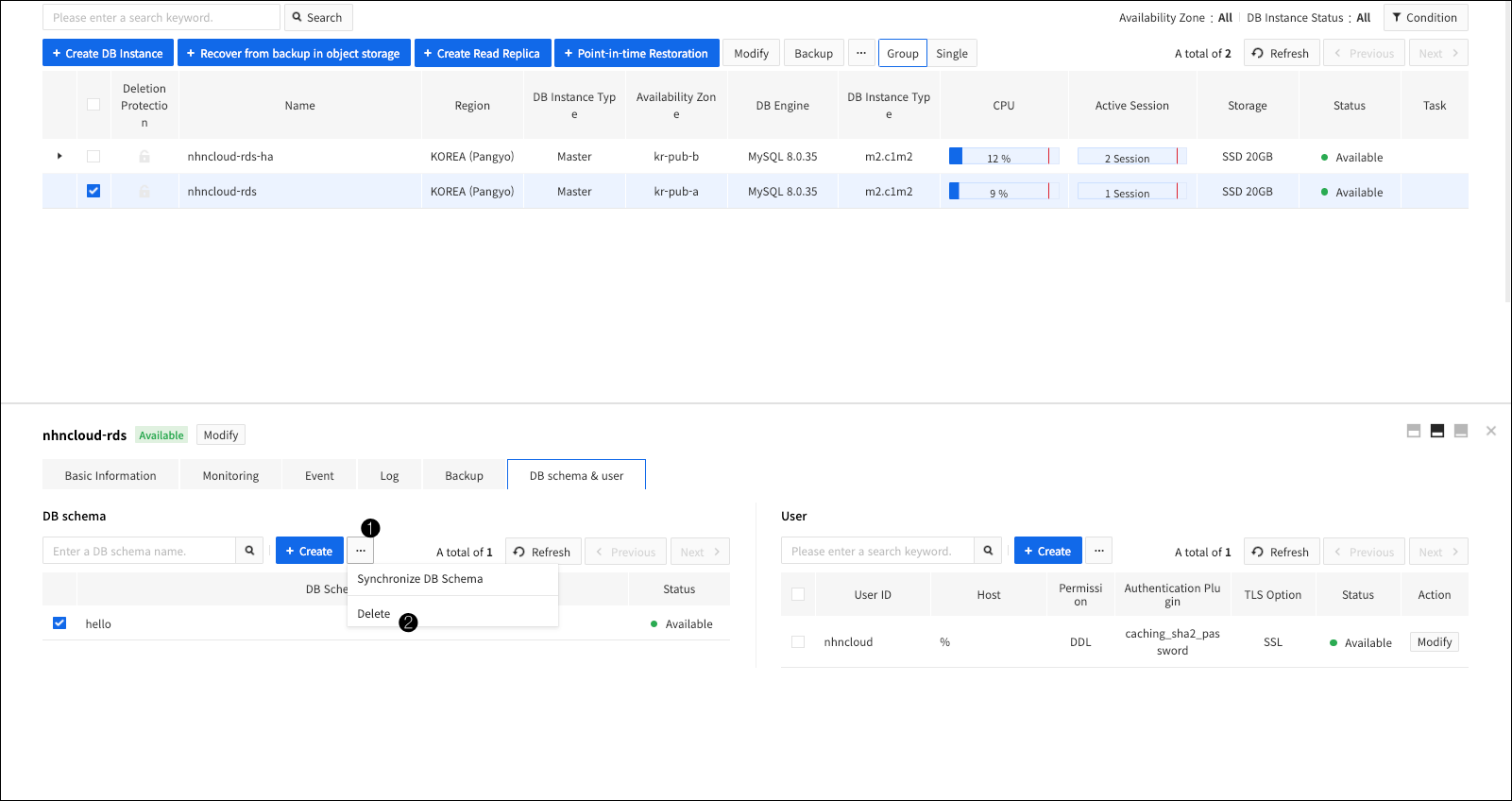db-instance-detail-schema-delete-en