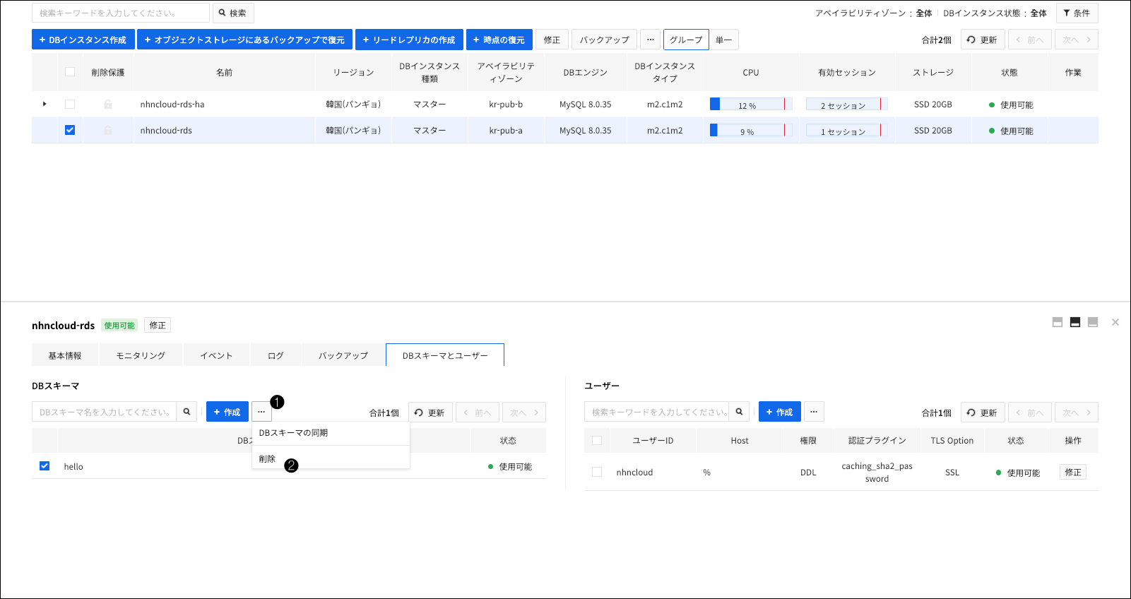 db-instance-detail-schema-delete-ja