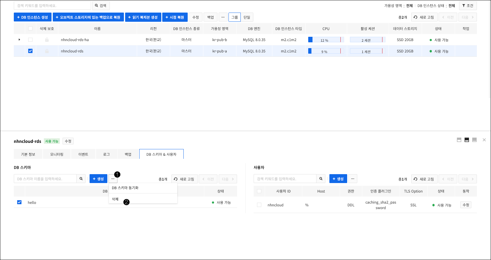 db-instance-detail-schema-delete-ko