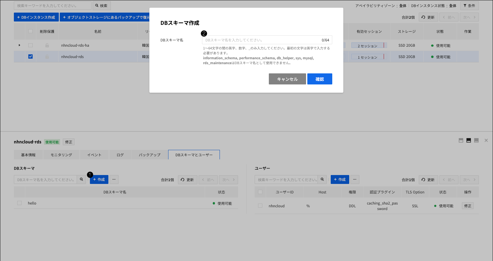 db-instance-detail-schema_ja