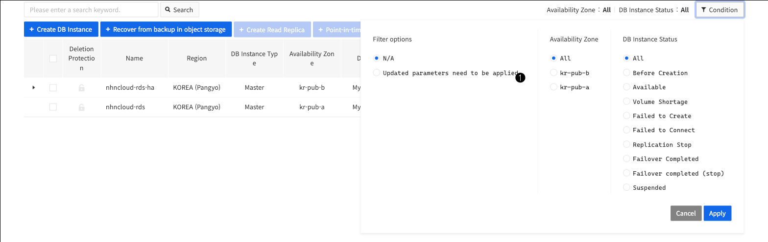 db-instance-filter_en
