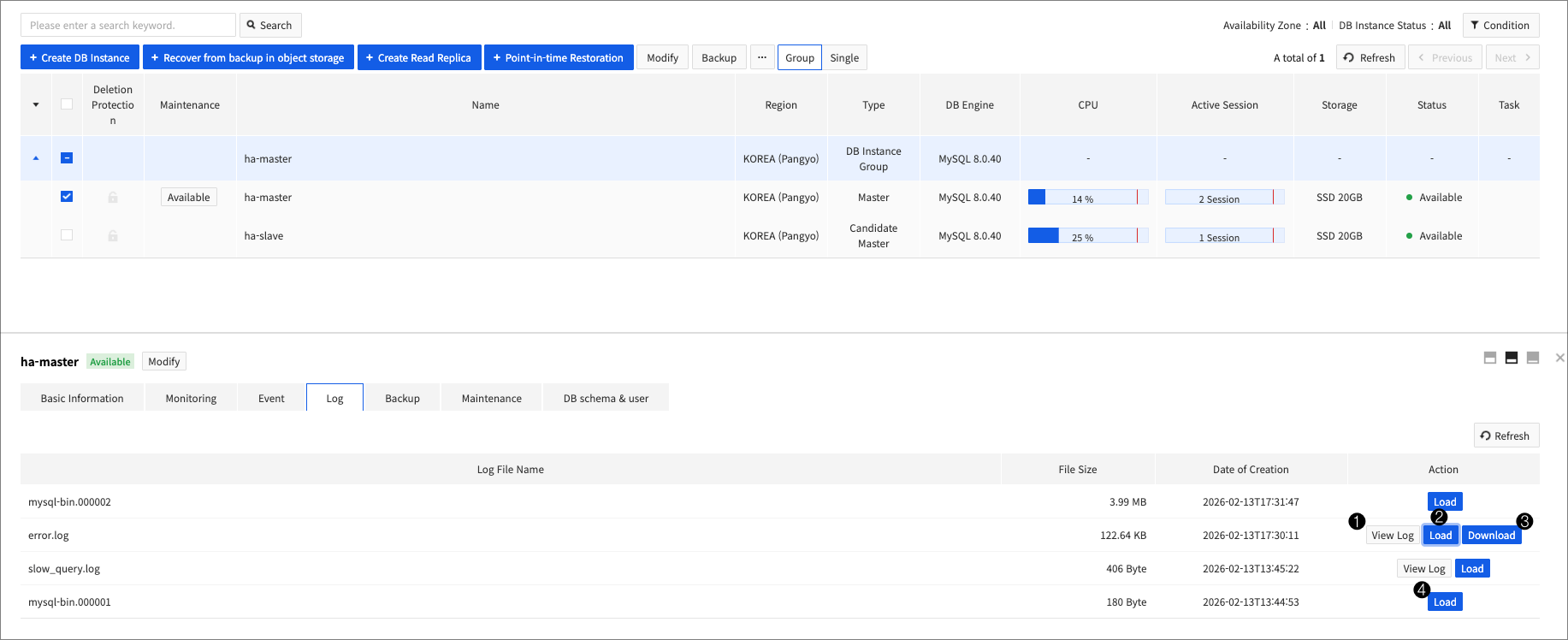 db-instance-detail-log_en