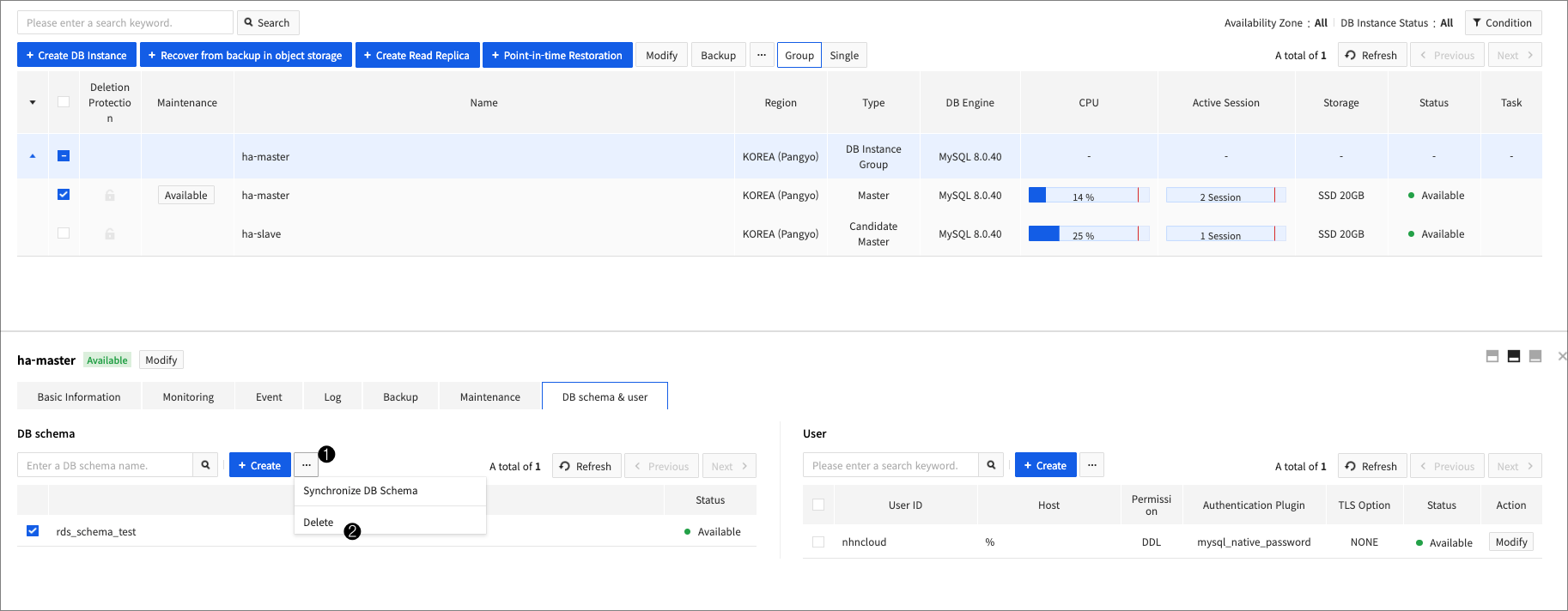 db-instance-detail-schema-delete-en