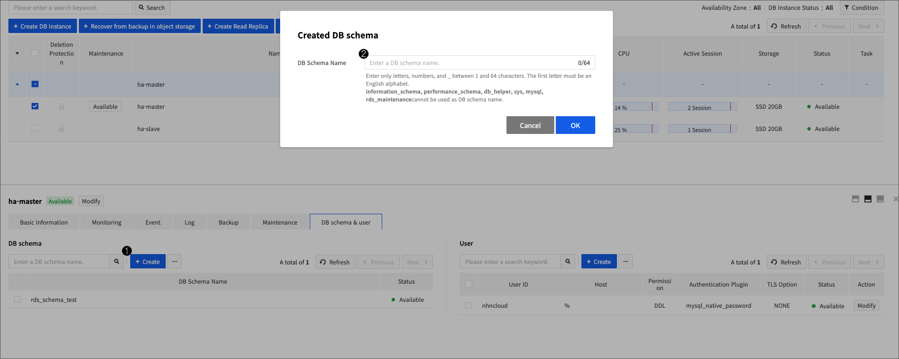 db-instance-detail-schema_en