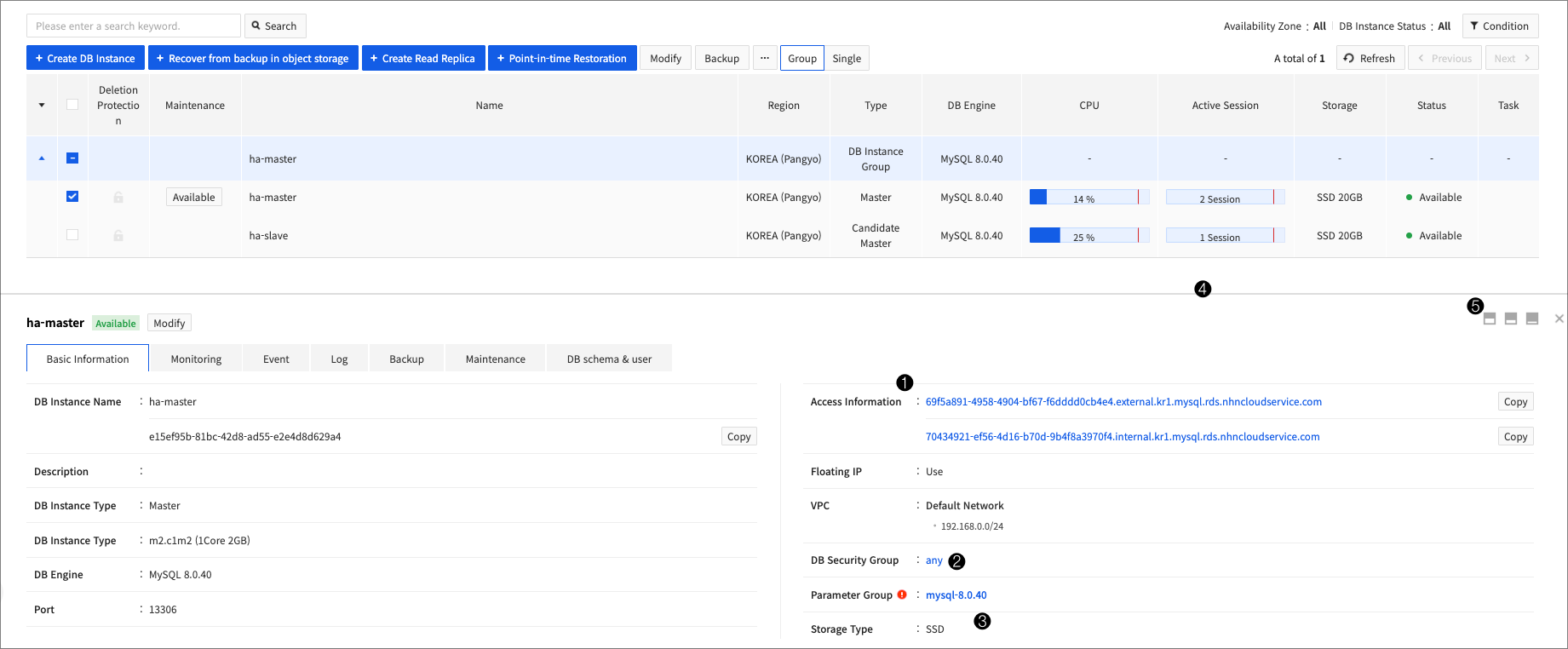 db-instance-detail_en