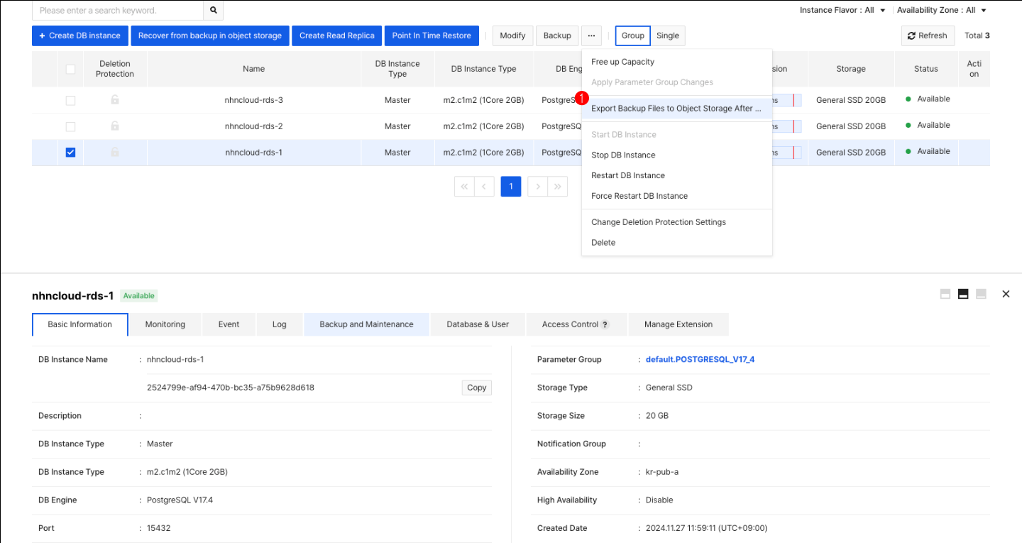 db-instance-list-export-obs