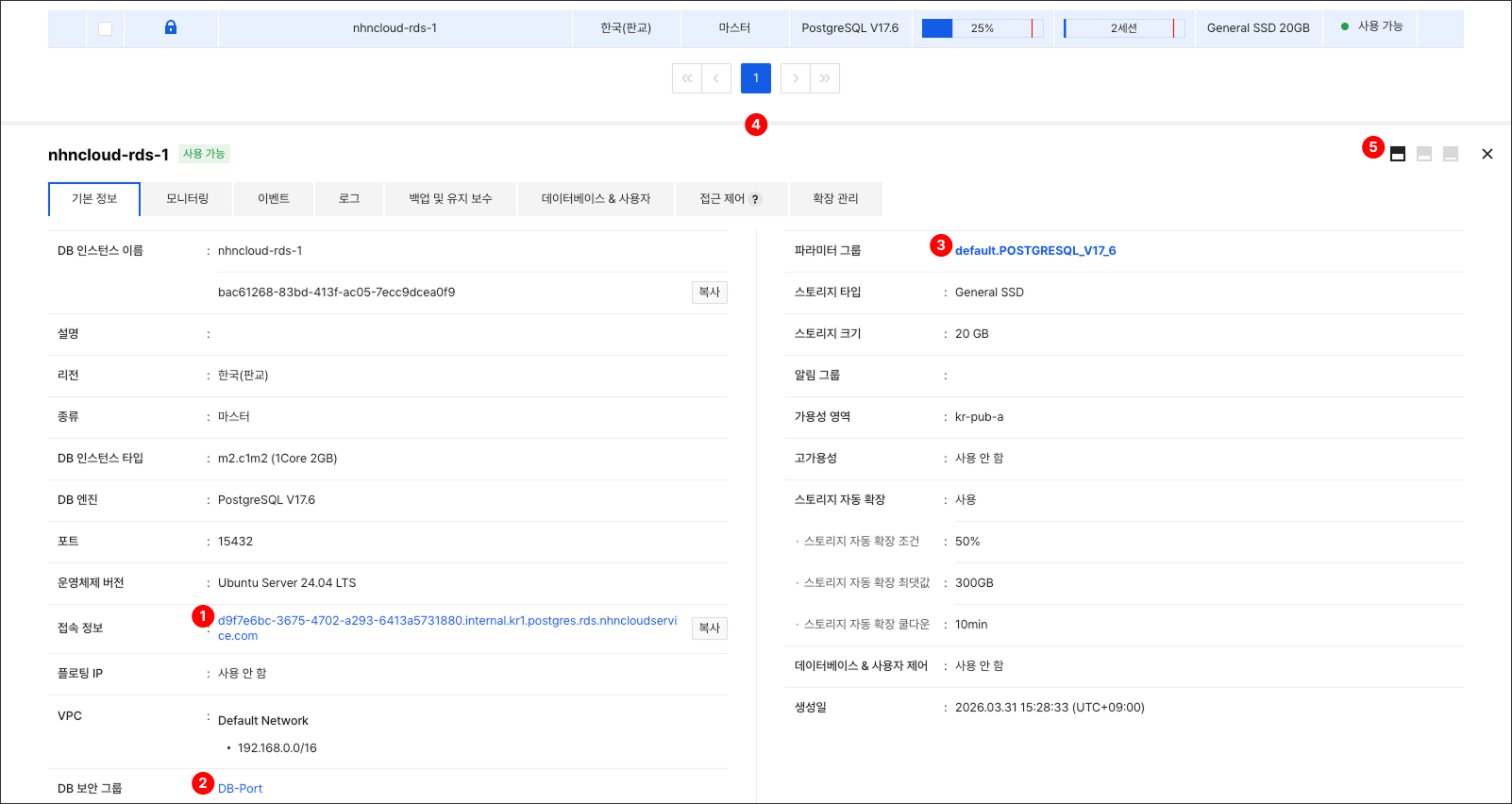db-instance-detail-basic
